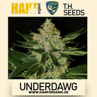 T.H. Seeds - UnderDawg Fem
