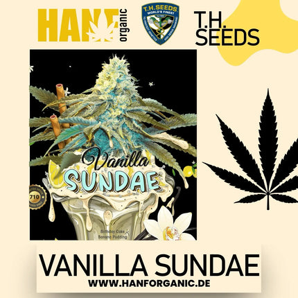 T.H. Seeds - Vanilla Sundae Fem
