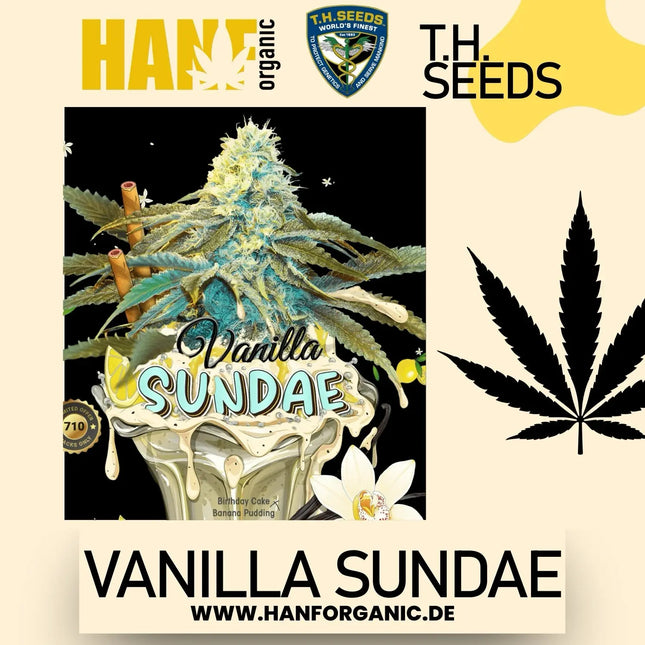 T.H. Seeds - Vanilla Sundae Fem