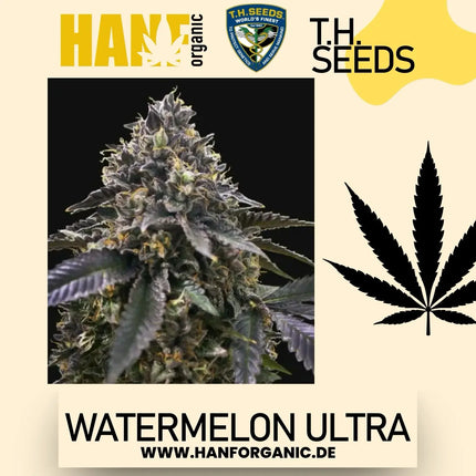 T.H. Seeds - Watermelon Ultra Fem