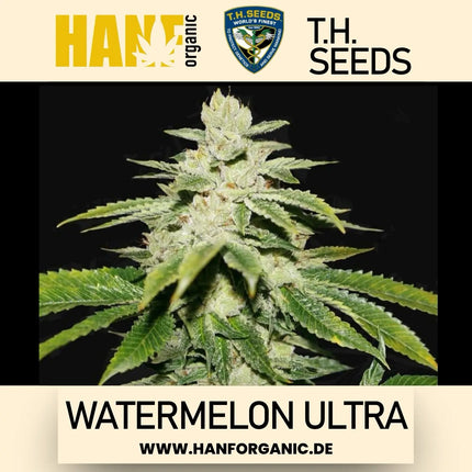 T.H. Seeds - Watermelon Ultra Fem