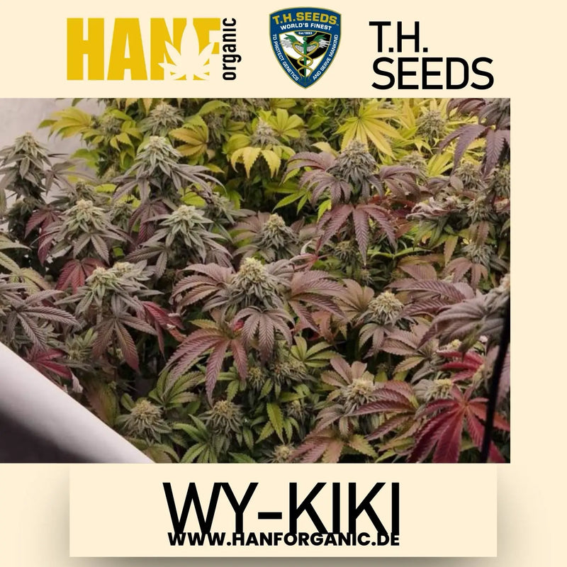 T.H. Seeds - Wy-Kiki Fem