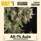 AK-74 Auto Hanfsamen von Trikoma Seeds