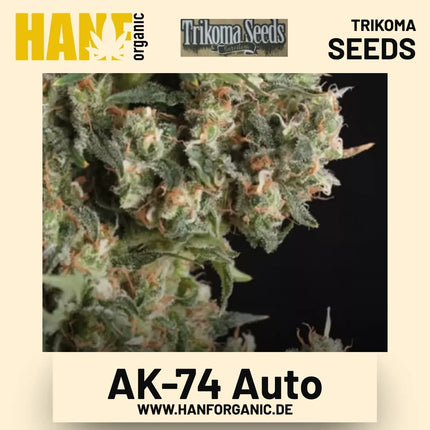 AK-74 Auto Hanfsamen von Trikoma Seeds
