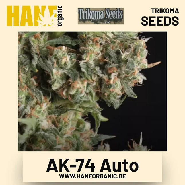 AK-74 Auto Hanfsamen von Trikoma Seeds