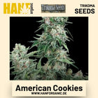 American Cookies Hanfsamen von Trikoma Seeds