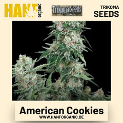 American Cookies Hanfsamen von Trikoma Seeds