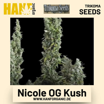 Nicole OG Kush Hanfsamen von Trikoma Seeds