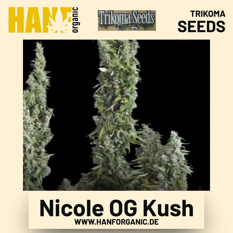 Nicole OG Kush Hanfsamen von Trikoma Seeds