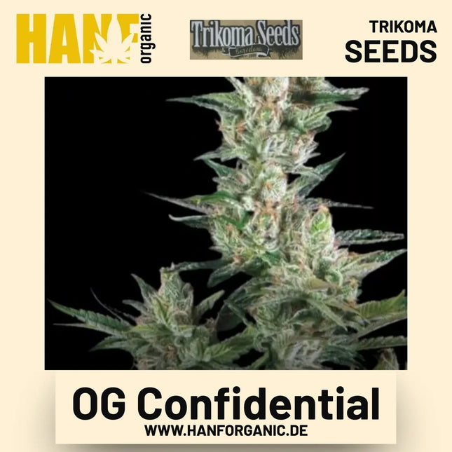 OG Confidential Hanfsamen von Trikoma Seeds