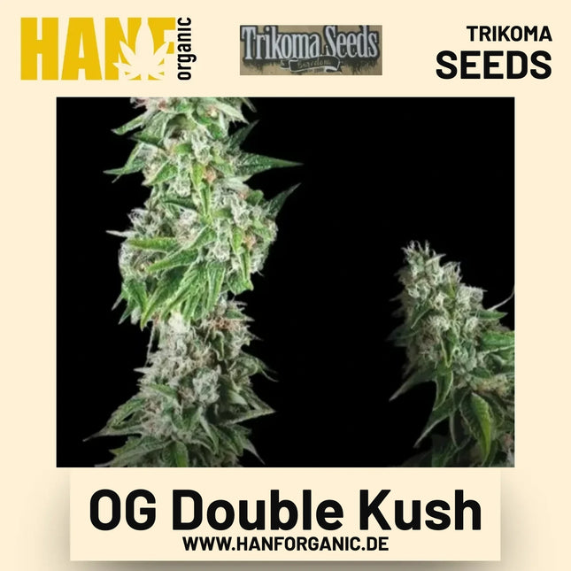 OG Double Kush Hanfsamen von Trikoma Seeds