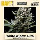 White Widow Auto Hanfsamen von Trikoma Seeds