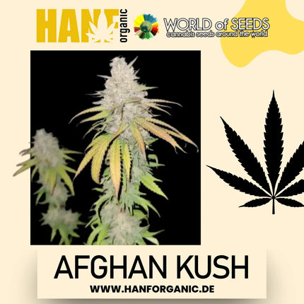 World Of Seeds - Afghan Kush (Pure Origin Collection) Fem