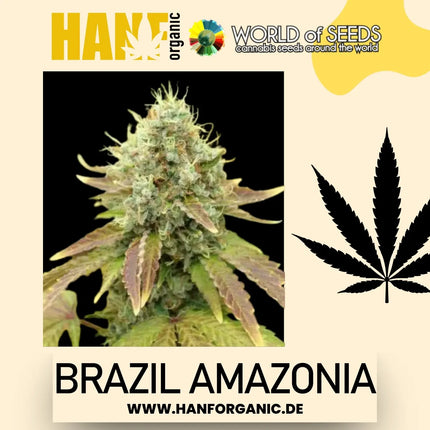 World Of Seeds - Brazil Amazonia (Pure Origin Collection) Fem