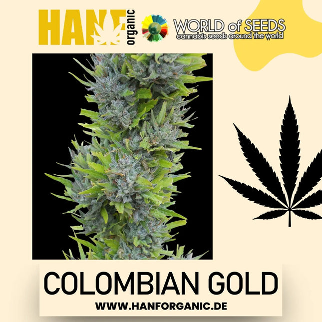 World Of Seeds - Colombian Gold (Pure Origin Collection) Fem