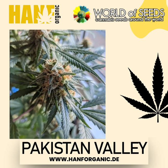 World Of Seeds - Pakistan Valley (Pure Origin Collection) Fem