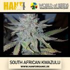 World Of Seeds - South African Kwazulu (Pure Origin Collection) Fem