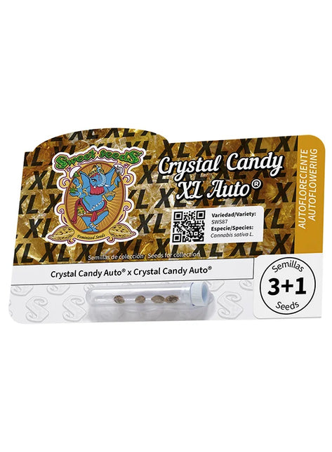 Crystal Candy XL Auto von Sweet Seeds – blühende Autoflower-Pflanze